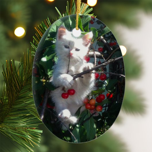 Aandenken Foto Keramisch Ornament