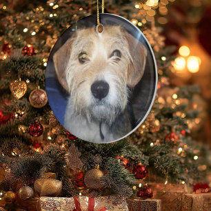 Aandenken huisdier foto met typografie ornament