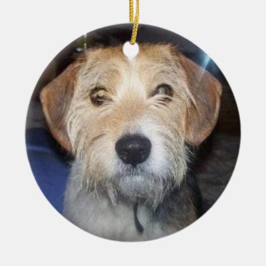 Aandenken huisdier foto met typografie ornament (Voorkant)