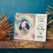 Aandenken Huisdier Herinnering Aquarel Regenboog F Fotoplaat (Zijkant)