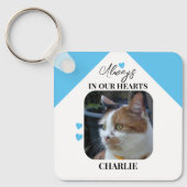 Aandenken Kattensympathie Huisdierherdenking blauw Sleutelhanger (Voorkant)