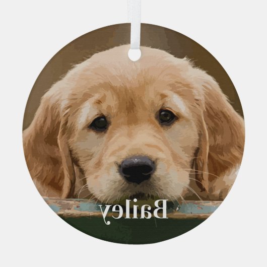 Aandenken met eigen huisdier foto hondenliefhebber glas ornament (Achterkant)