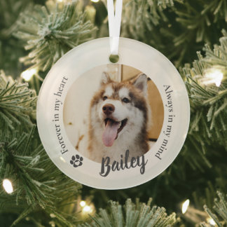 Aandenken met foto van huisdier hond kat glas ornament