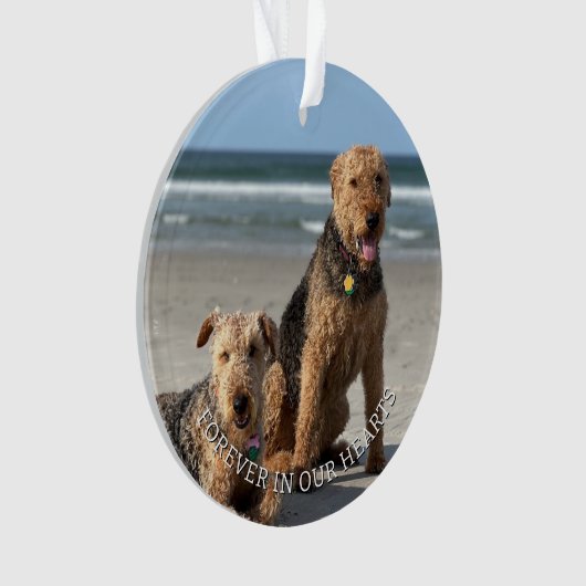 Aandenken Pootafdrukken In Uw Hart Ornament (voorkant)