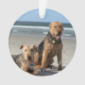 Aandenken Pootafdrukken In Uw Hart Ornament (voorkant)