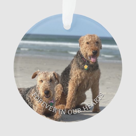 Aandenken Pootafdrukken In Uw Hart Ornament (voorkant)