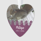 Aandenken ter nagedachtenis aan huisdier Geliefde  Ornament (voorkant)