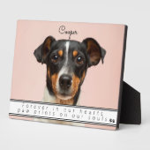 Aandenken ter nagedachtenis aan huisdier voor alti fotoplaat (Zijkant)