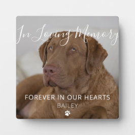 Aandenkenplaquette met foto voor huisdier hond her fotoplaat
