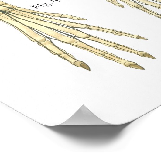 Aandoeningen van het zenuwstelsel Anatomie Poster (Hoek)