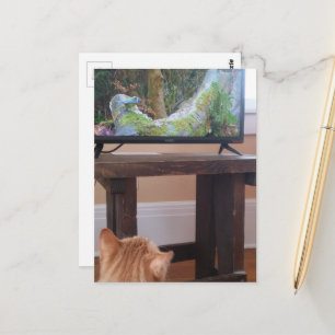 aandoenlijke kaneelkleurige kat kijkt tv briefkaart