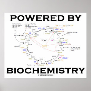 Aangedreven door biochemie (krebs-cyclus) poster