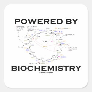 Aangedreven door biochemie (krebs-cyclus) vierkante sticker