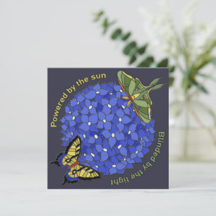 Aangedreven door de zon - Verblind door het licht