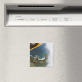 Aangedreven hanggliding boven Kauai Magneet (Insitu (Vaatwasser))