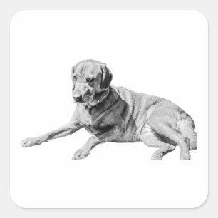 Aangelegde hond, Chill Vibe Vierkante Sticker