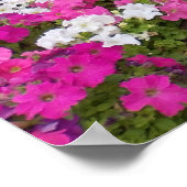 Aangelegde Wandelpad  Poster (Hoek)