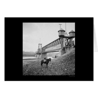 Aangemelde Railroad Bridge te Nashville, TN 1864
