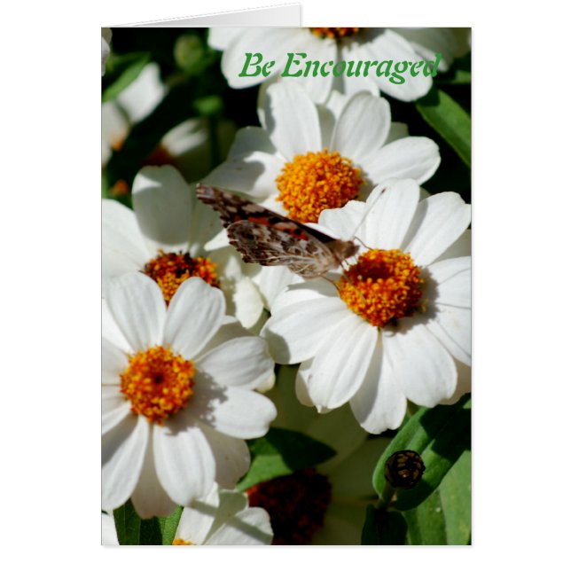 aangemoedigd (Voorkant)