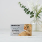 Aangename Cute Yellow Baby Chick Foto Visitekaartje (Staand voorkant)