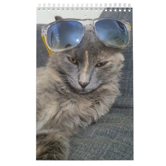 aangename grijze kattenfoto's 2026 kalender (Hoes)