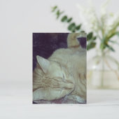 aangename rode poes in bed briefkaart (Staand voorkant)