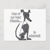 Aangenomen~BlackandWhite Briefkaart (Voorkant)