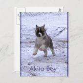 Aangenomen honden briefkaart (Voorkant / Achterkant)