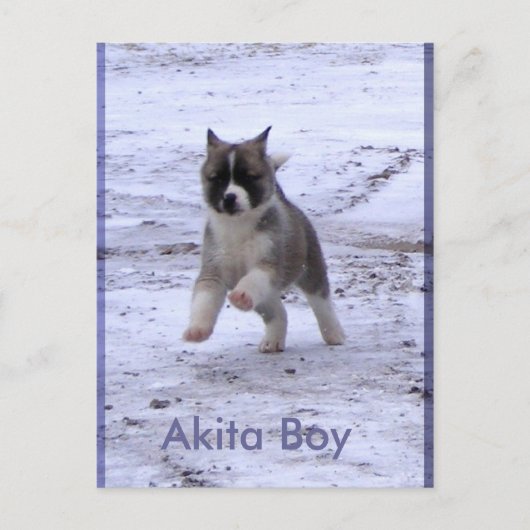 Aangenomen honden briefkaart (Voorkant)