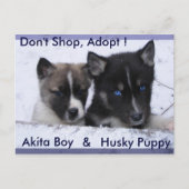 Aangenomen honden briefkaart (Voorkant)