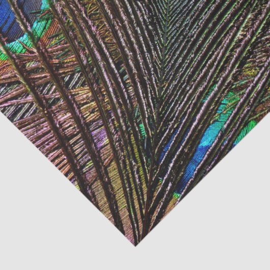 Aangepast 10lb-weefselpapier, PIEKEN VERDER Tissuepapier (Detail)