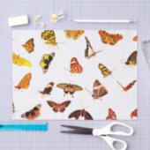 Aangepast 10lb-weefselpapier, witte flessenbakken tissuepapier (Craft)