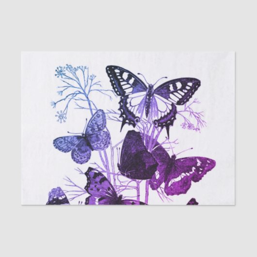 Aangepast 10lb-weefselpapier, witte flessenbakken tissuepapier (Voorkant)