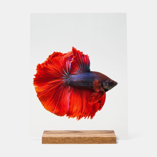 Aangepast 11 "x 14" Acryl Teken, met Houtblok Bord (Voorkant)