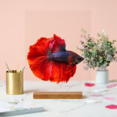 Aangepast 11 "x 14" Acryl Teken, met Houtblok Bord (Huwelijk)