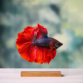 Aangepast 11 "x 14" Acryl Teken, met Houtblok Bord (Neutraal)