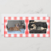 Aangepast 3 Foto rood en wit landenpark geplakt (Achterkant)