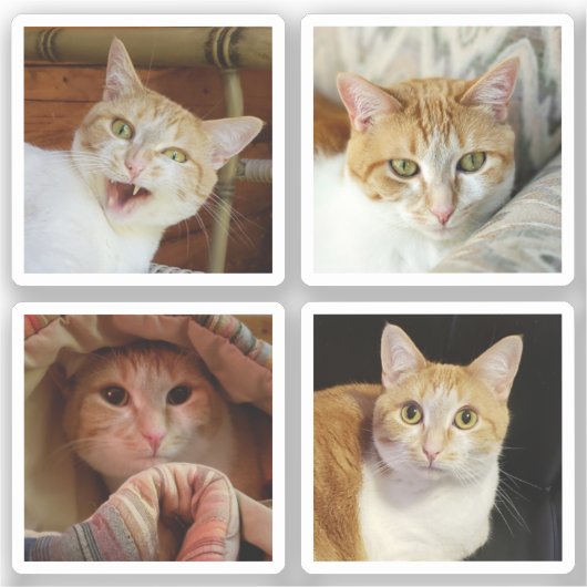 Aangepast 4 Foto Collage Eenvoudig vierkant Tiny V Sticker (Voorkant)