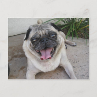 Aangepast aangepast Briefkaart voor persoonlijke f