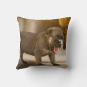 Aangepast, aangepast Sierkussen voor foto op perso (Achterkant)