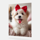 Aangepast Acryl Bord (Hoek)