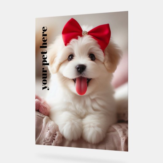 Aangepast Acryl Bord (Hoek)