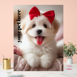 Aangepast Acryl Bord