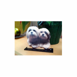 Aangepast acrylfotofragment van hoge kwaliteit staand fotobeeldje 