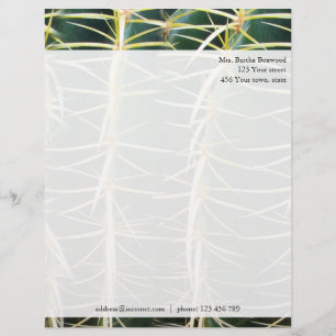 Aangepast adres tropische cactus foto briefhoofd ontwerp