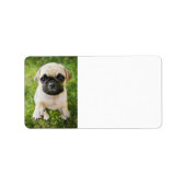 Aangepast adres van de foto van uw pop-uppakket etiket (Voorkant)