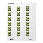 Aangepast adres van de foto van uw pop-uppakket etiket (Full Sheet)