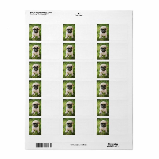 Aangepast adres van de foto van uw pop-uppakket etiket (Full Sheet)