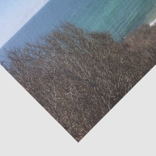 Aangepast afbeelding afbeelding aangepast tissuepapier (Detail)