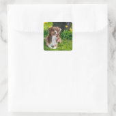 Aangepast Afbeelding Afbeelding Vierkante Sticker (Tas)